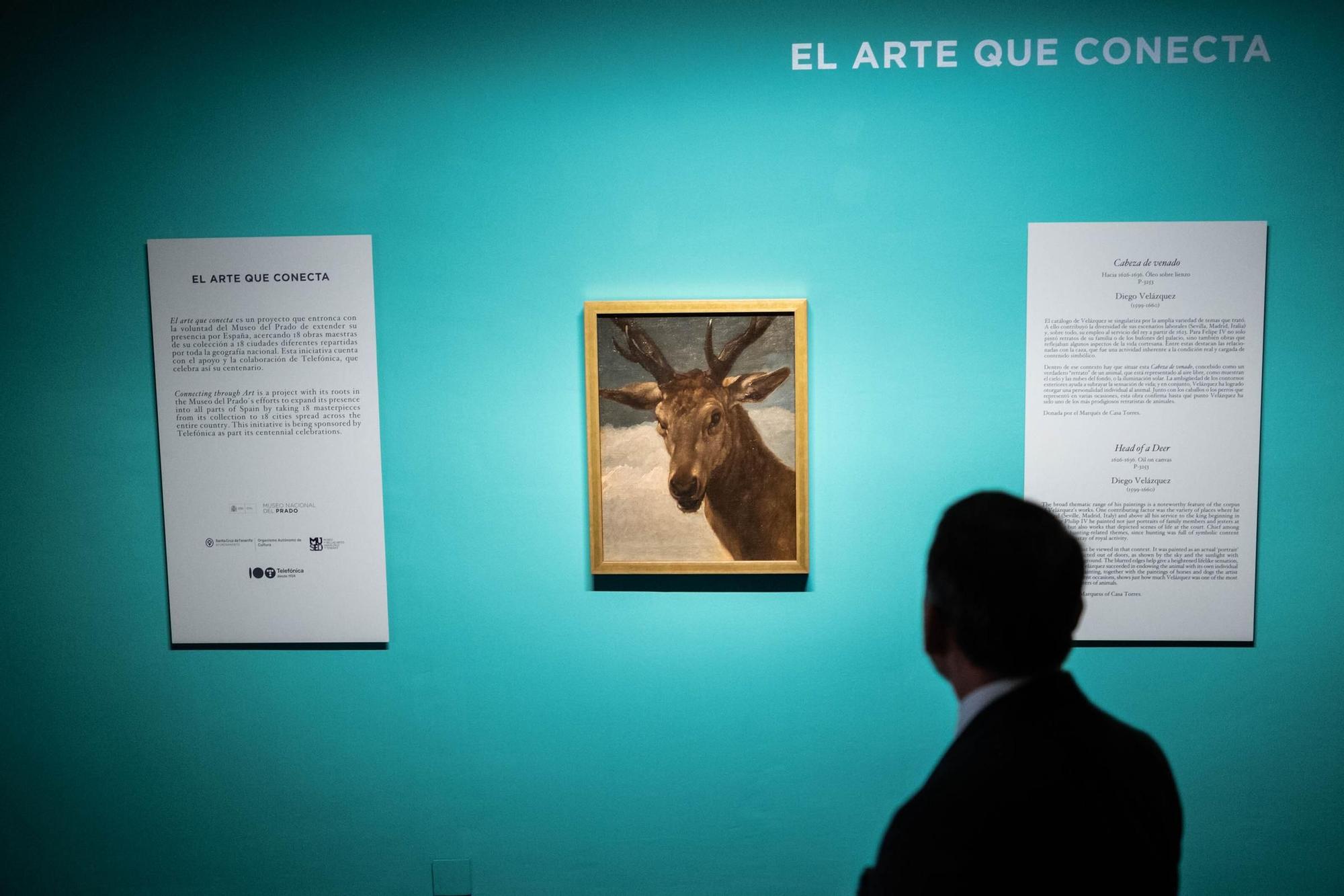 Presentación del lienzo &#039;Cabeza de Venado&#039;, de Velázquez, en el Museo de Bellas Artes.