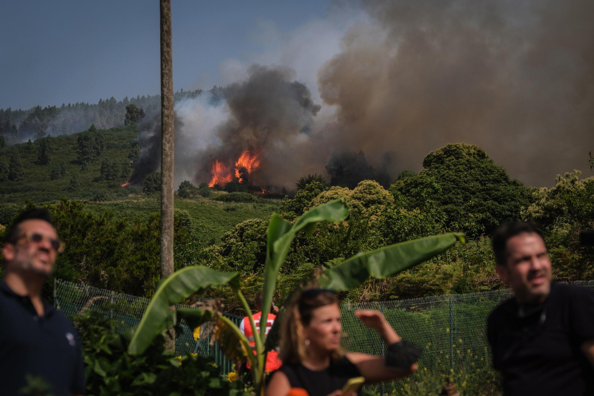 El incendio forestal de Tenerife, en imágenes