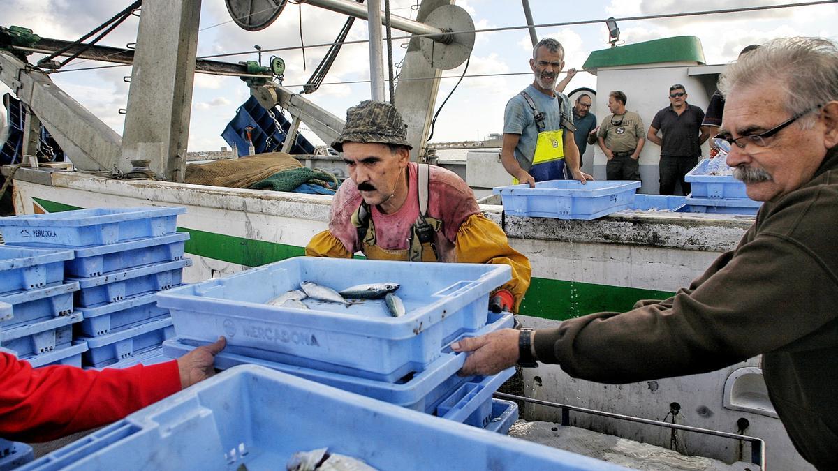 Pescadores, descargando en el puerto del Grau de Castelló.