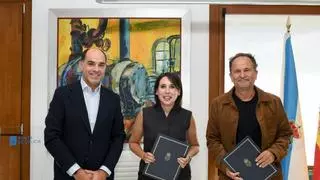 El pino gallego renovará su marca: la Xunta destina casi 165.000 euros al proyecto