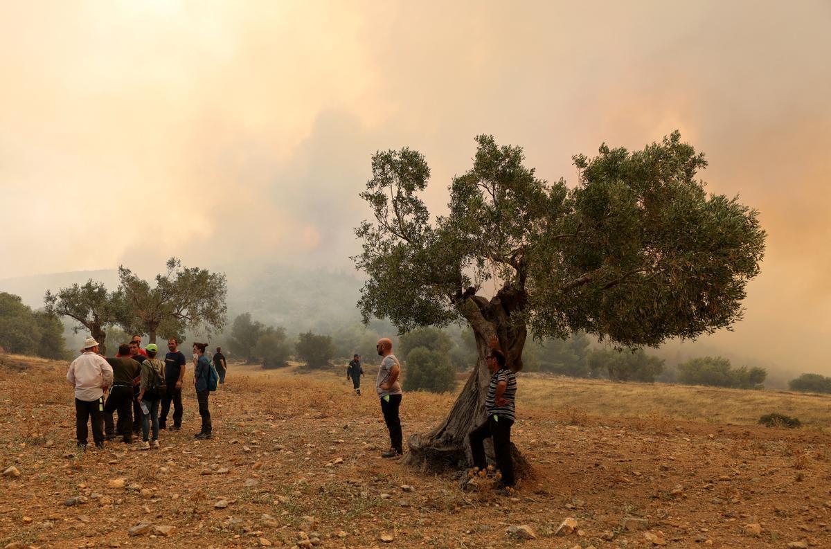 Incendio forestal cerca de Atenas, Grecia.