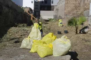 Limpieza en el barranco de La Ballena por la borrasca Claudia