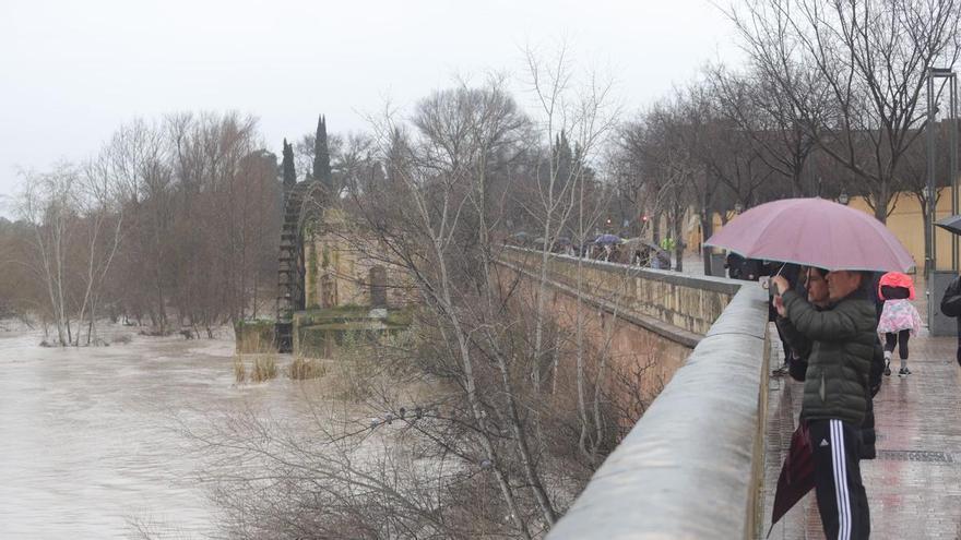 El río, a su paso por Córdoba este sábado