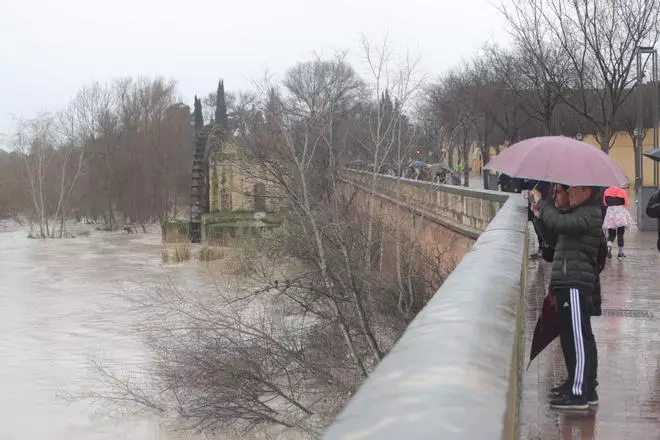 El río, a su paso por Córdoba este sábado