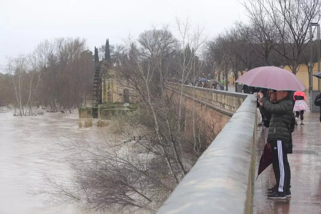 El río, a su paso por Córdoba este sábado