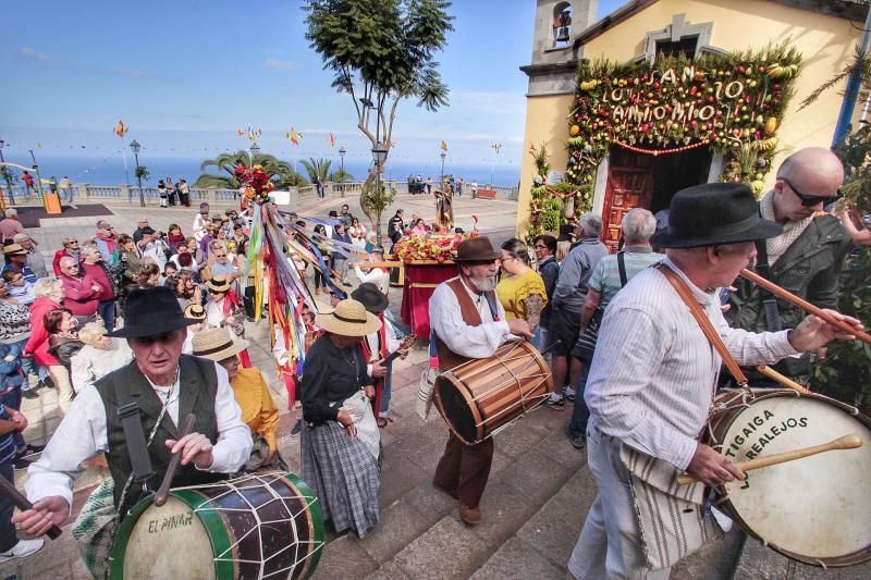 Romería de Tigaiga, en Los Realejos (enero 2020)