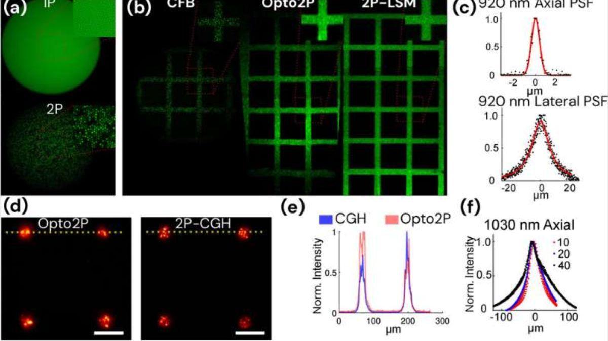 Rendimiento óptico de Opto2P-FCM para imágenes 2P y fotoestimulación modelada y comparación con imágenes 2P de haz de fibras coherentes.