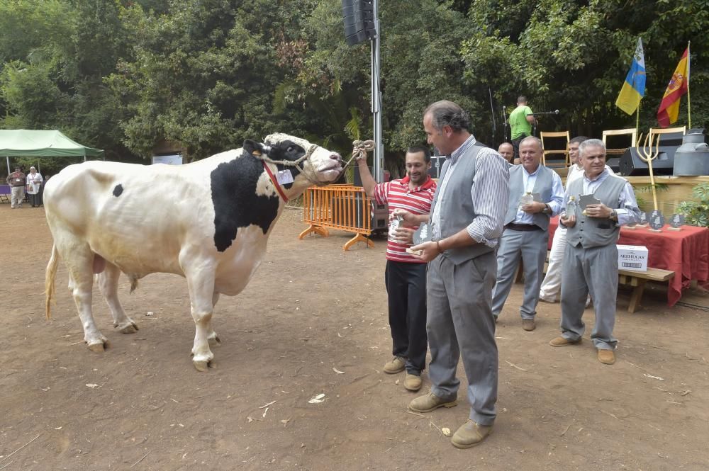 Feria de ganado