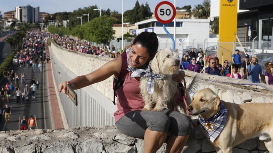 Alegría y fiesta entre los romeros de camino a Santa Faz