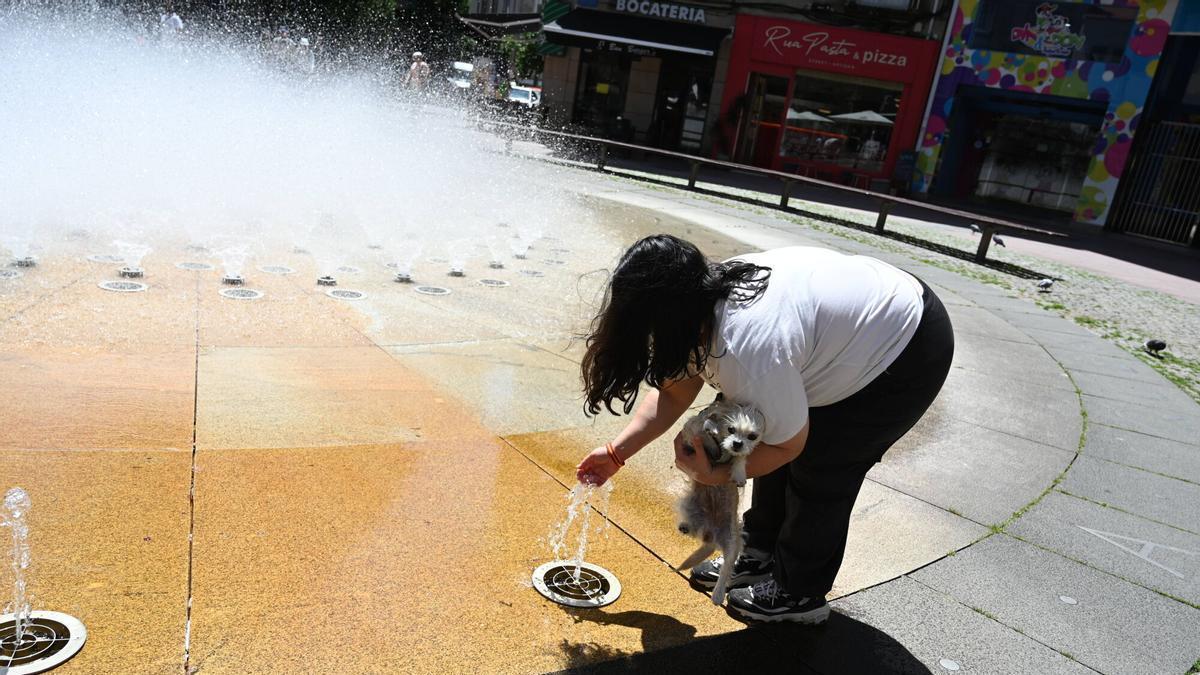 Una mujer refresca a su perro en Pontevedra.