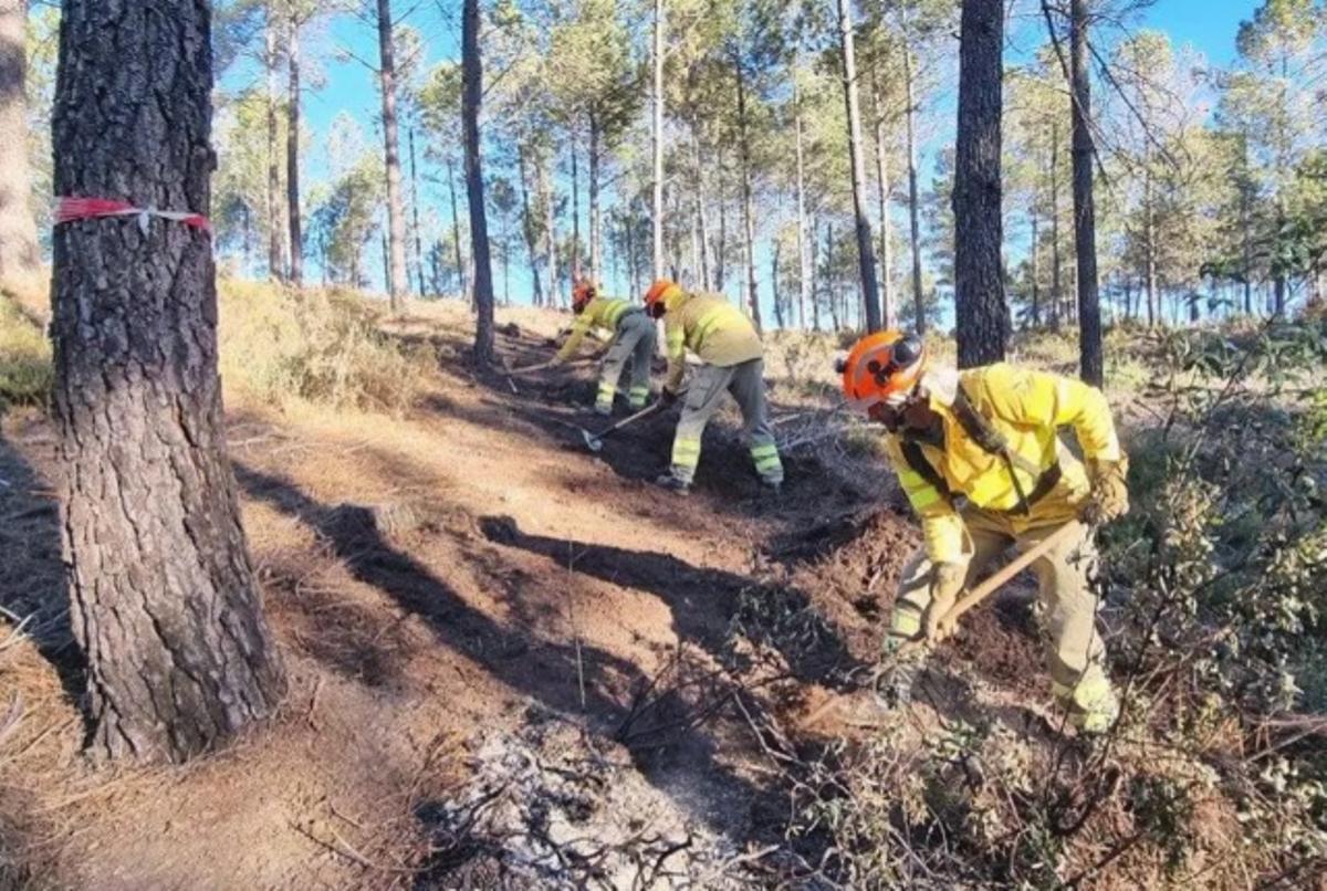 Efectivos del Infoex realizan trabajos de prevención en un terreno forestal.