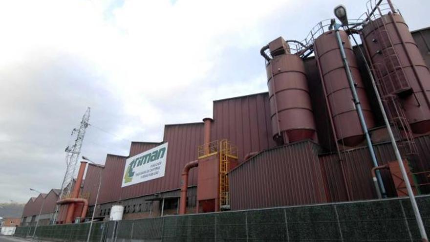 La planta de Triman en el polígono de Vega de Arriba de Mieres