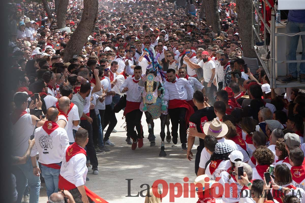 Así ha sido la carrera de los Caballos del Vino en Caravaca