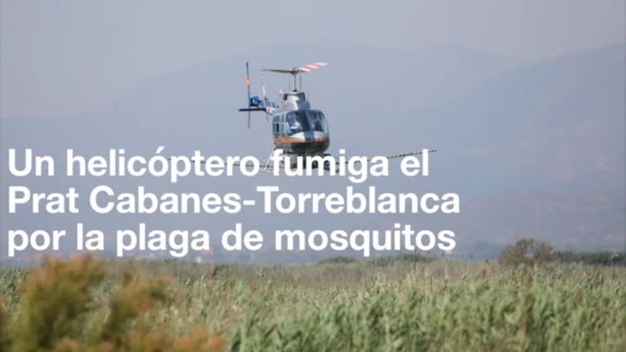 Un helicóptero fumiga el Prat Cabanes-Torreblanca por la plaga de mosquitos