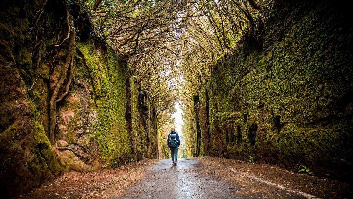 Una vuelta completa a Tenerife, y 5 rincones inesperados