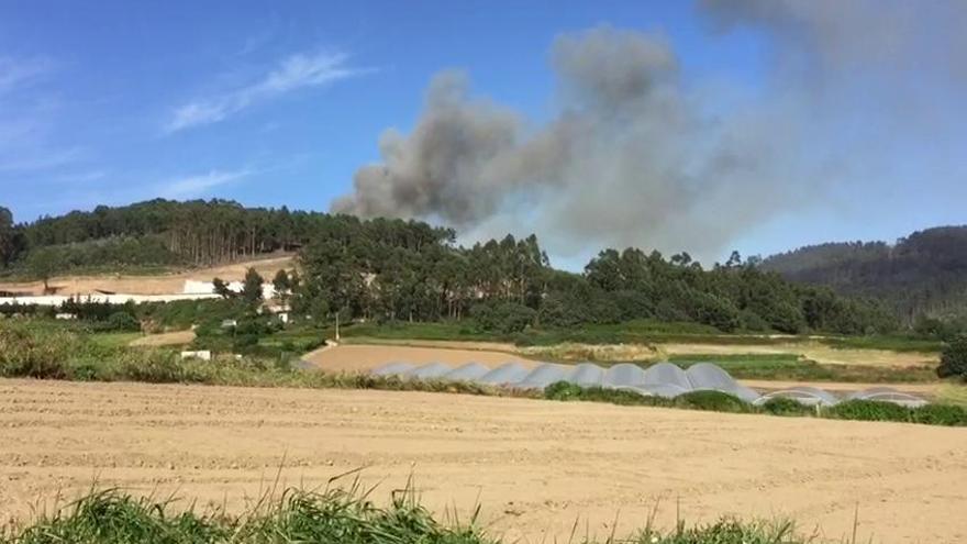 Activo un incendio forestal en Arteixo