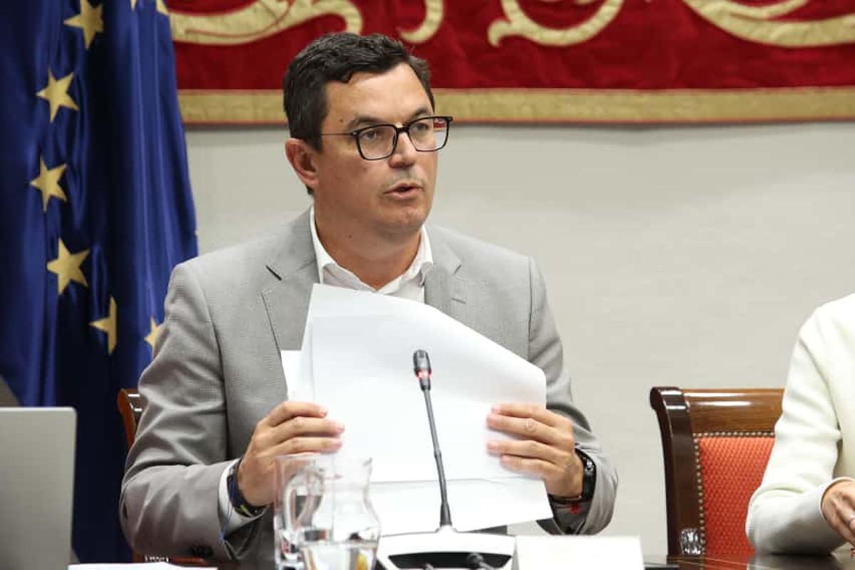 El consejero de Obras Públicas, Pablo Rodríguez, durante su comparecencia en el Parlamento.