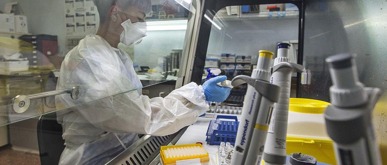 Imagen de archivo de un laboratorio de Microbiología de un hospital de la provincia. | ALEX DOMÍNGUEZ