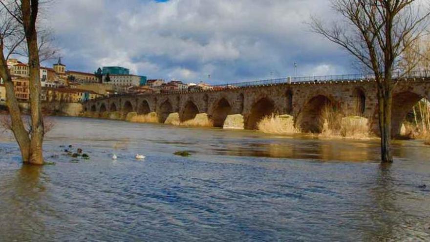 El río a su paso por Zamora, ayer.