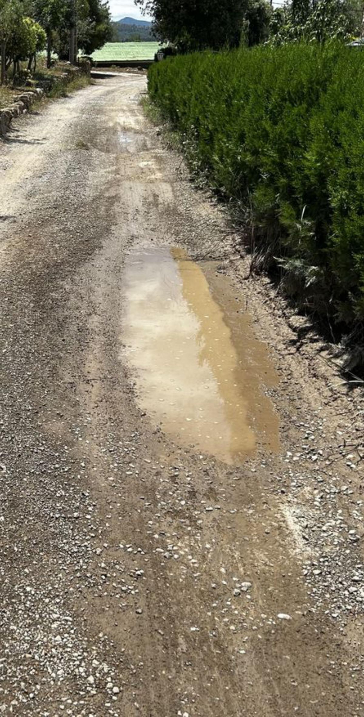 Un altre tram del camí