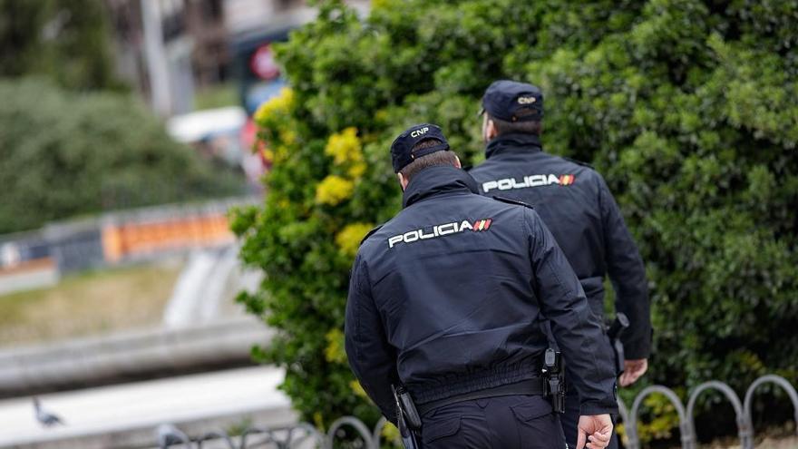 Detenidos los autores de 15 robos en coches en Ciudad Jardín y Palma-Palmilla