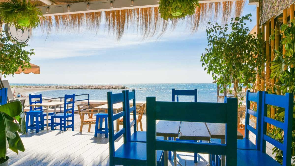 Terraza Frida Pahlo