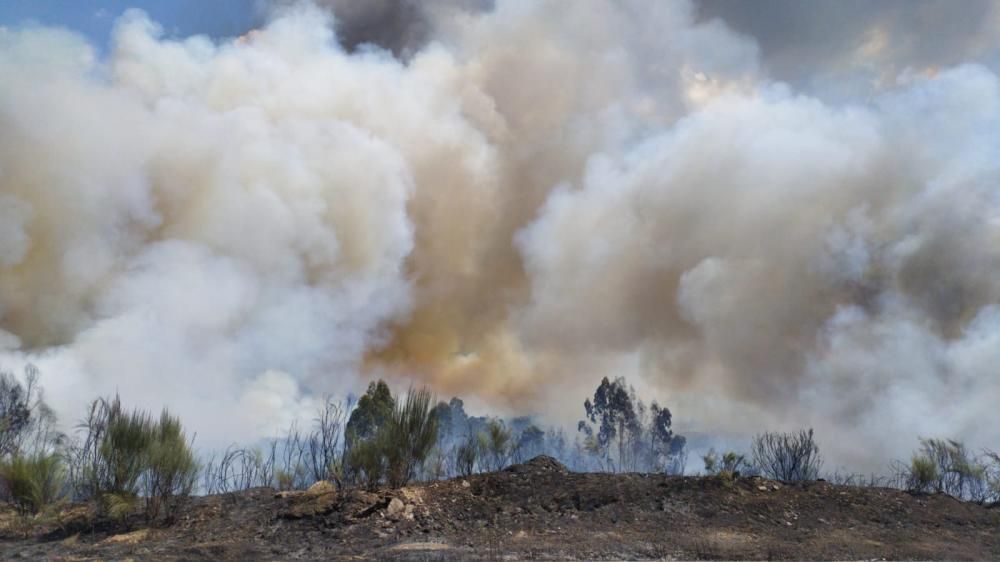 El fuego comenzó alrededor de las 16:00 y se expandió con gran velocidad