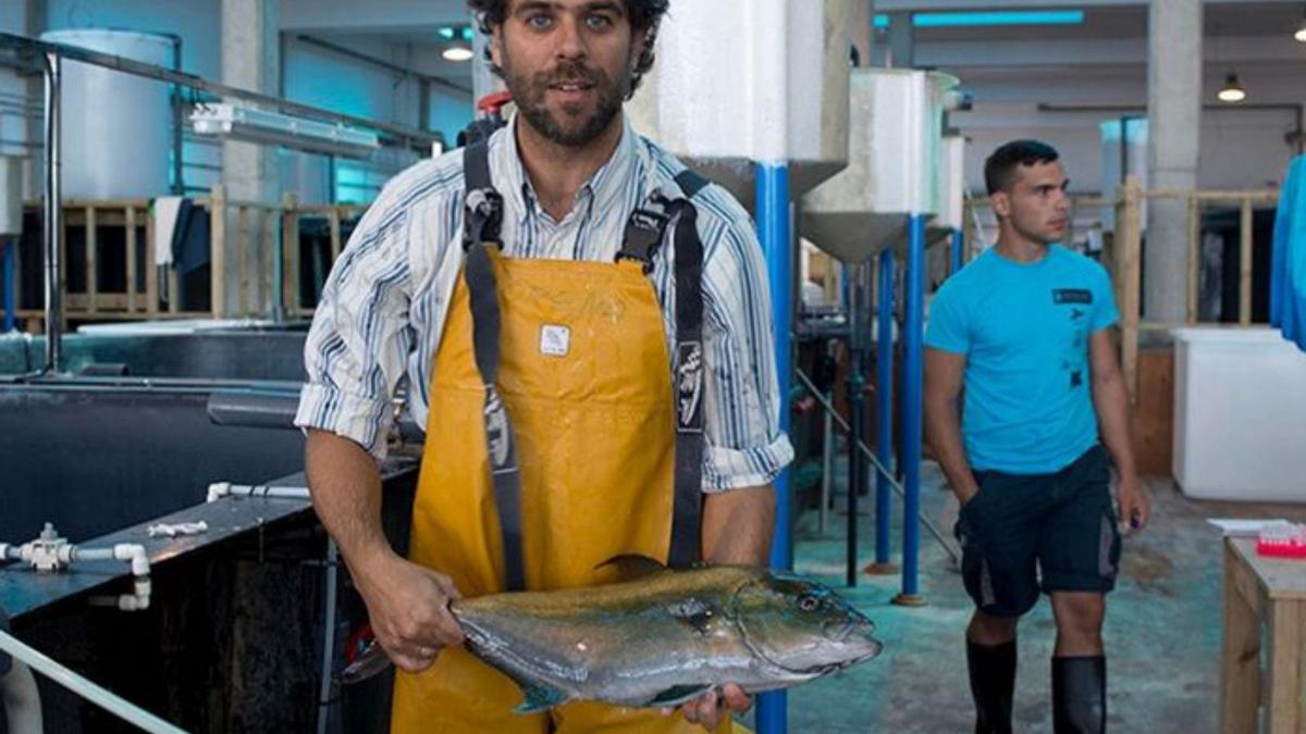 El medregal viaja en primera | ULPGC