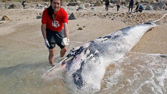 Alfredo López, del Cemma, junto a la ballena. // Marta G. Brea