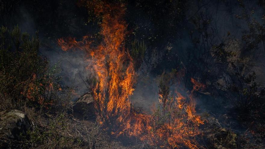 El tancament de les Gavarres arran de l'incendi i el "risc extrem" de nous focs es mantindrà com a mínim fins divendres