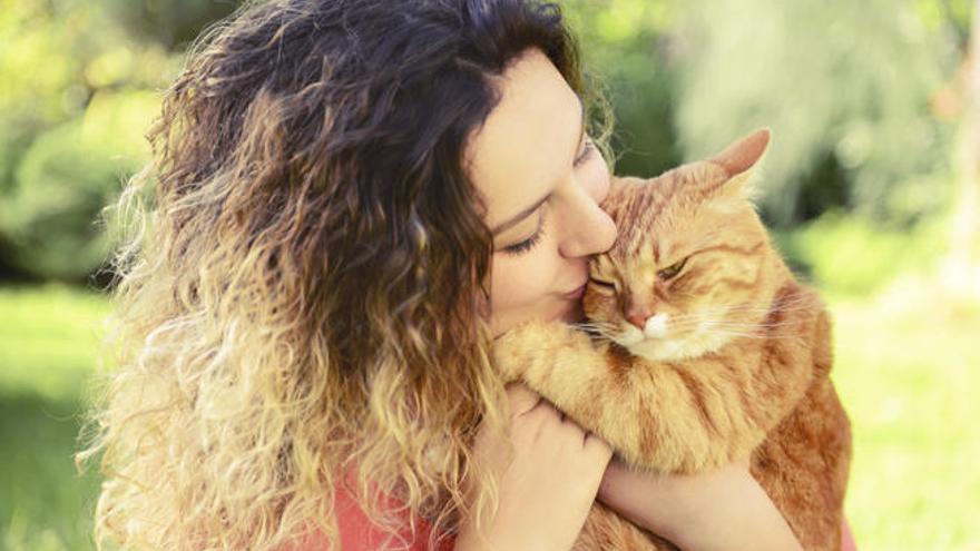 Como la mayoría de animales, los gatos envejecen mucho más rápido que los humanos