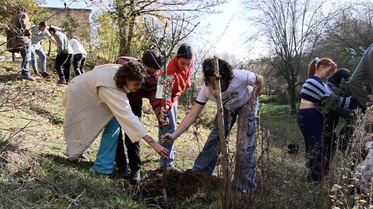 El Festival arriba a la quarta edició, a Maçanet de Cabrenys