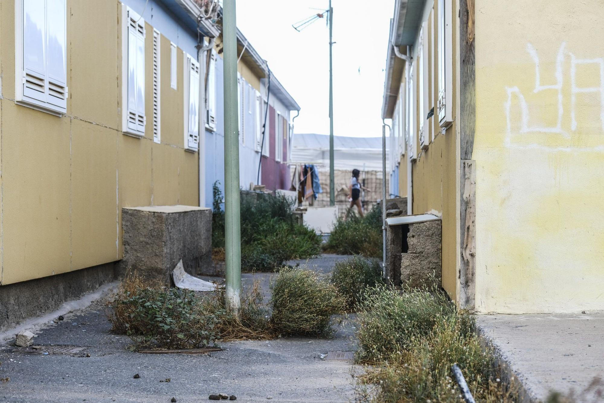 Los callejones del barrio son intransitables, bien por la maleza o por enseres acumulados.