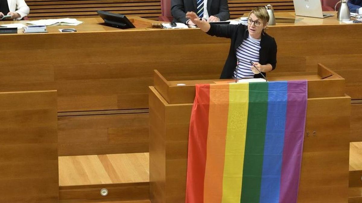 Papi Robles despliega la bandera LGTBI en la tribuna de las Cortes. INFORMACIÓN