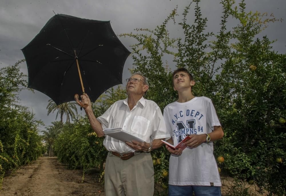 Cabañuelas: predicción del tiempo en Elche