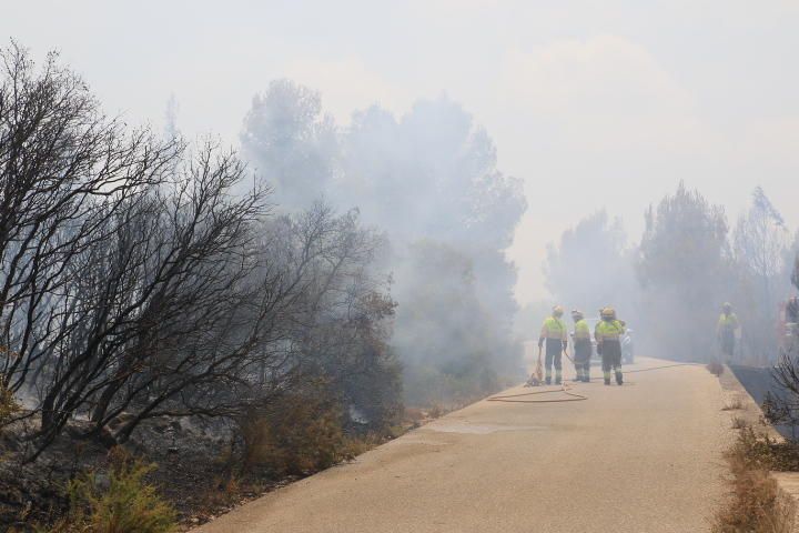 Incendio forestal entre Pinet, La drova y Marxuquera