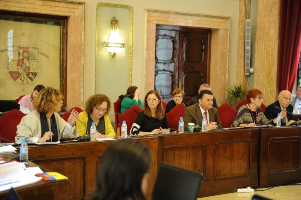 Pleno de Ayuntamiento de Murcia