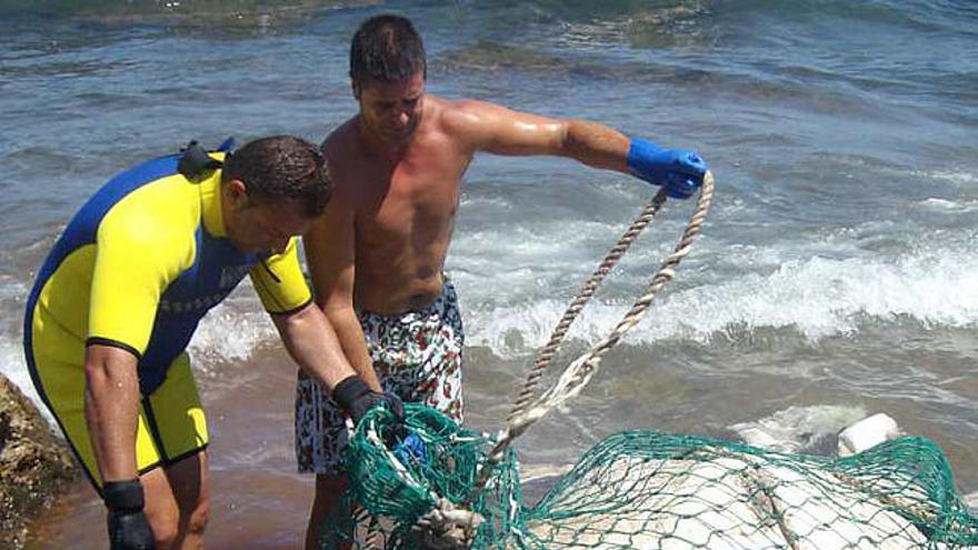 Espectacular hallazgo en la playa