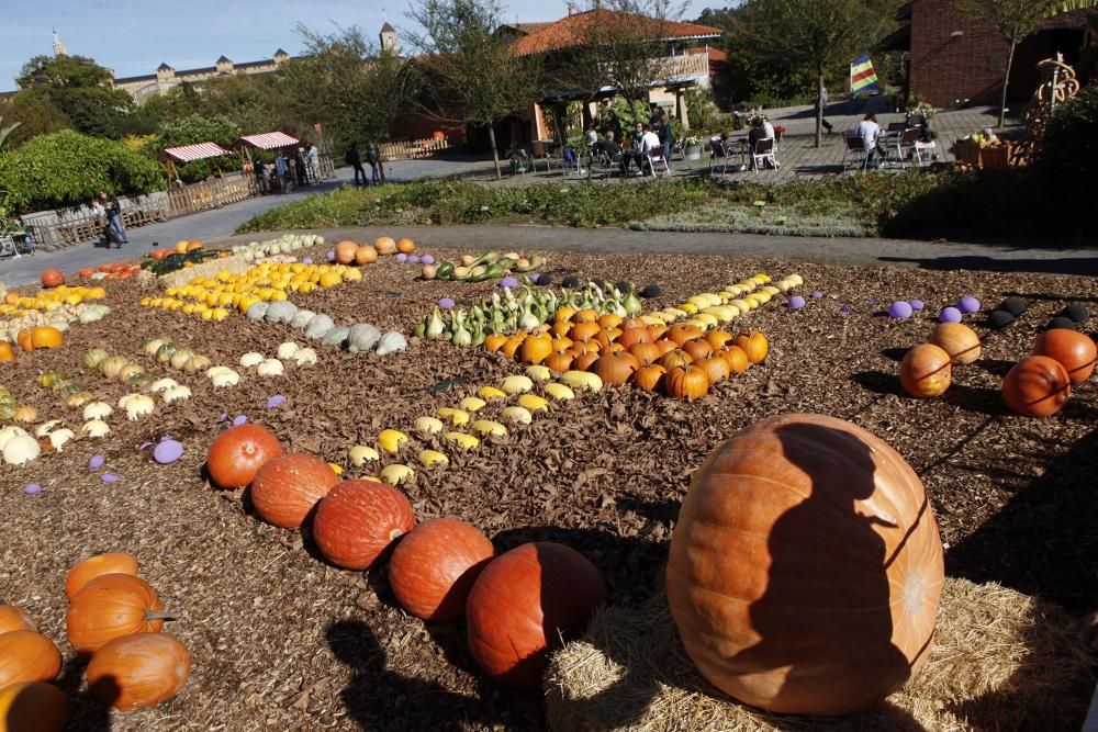 Calabazas y calaveras en el Botánico