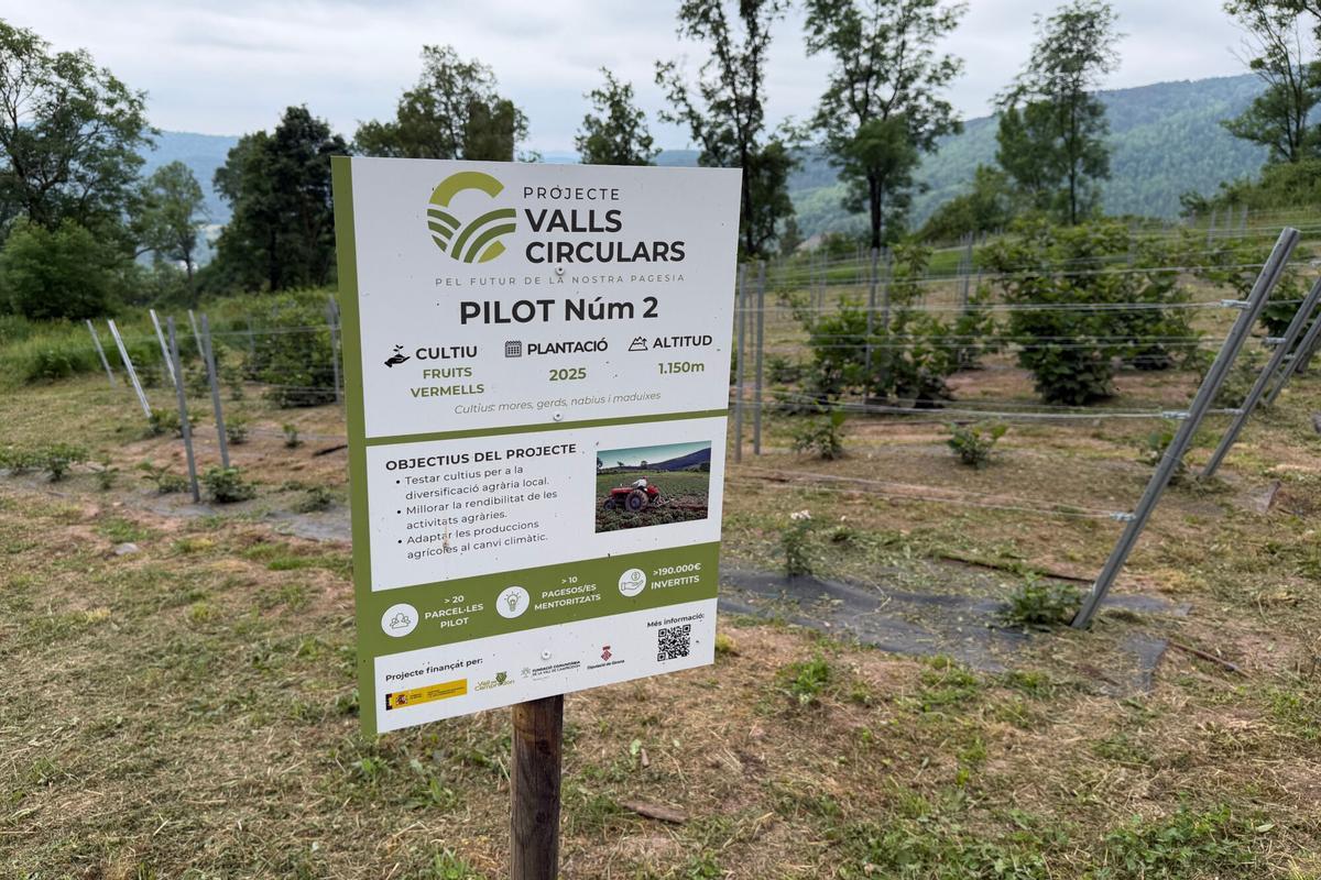 Un cartell del projecte de Valls Circulars en una finca pilot