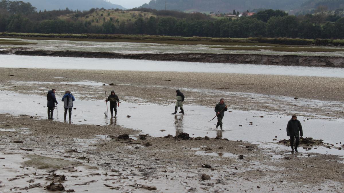 Biólogos y mariscadores en la visita que hicieron en enero para comprobar el estado de las almejas