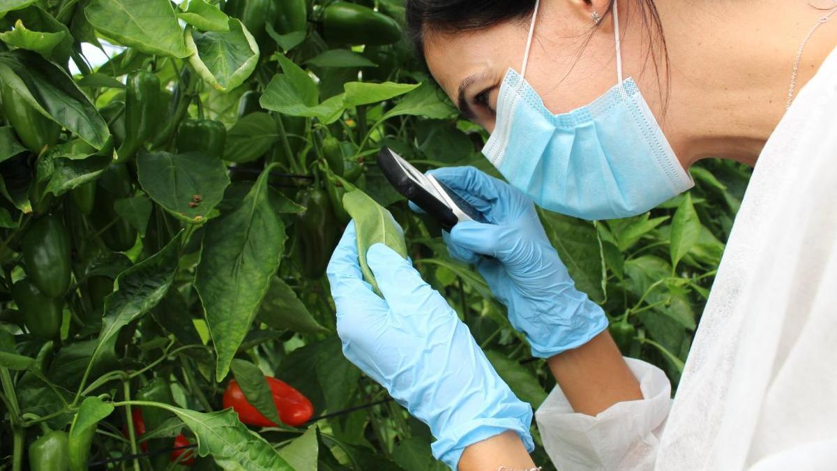 Cincuenta mujeres se forman en Pozoblanco para dirigir cooperativas