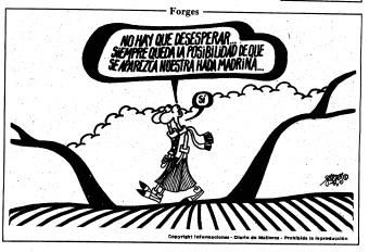 Forges en Diario de Mallorca