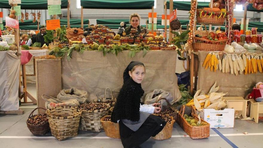 Puesto de castañas y productos de la huerta en una edición anterior del certamen.