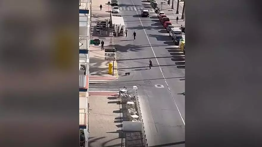 La policía persigue y atrapa a un jabalí en la playa del Port de Sagunt