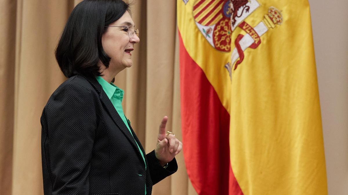 La presidenta de la Comisión Nacional de los Mercados y Competencia (CNMC), Cani Fernández, en el Congreso.