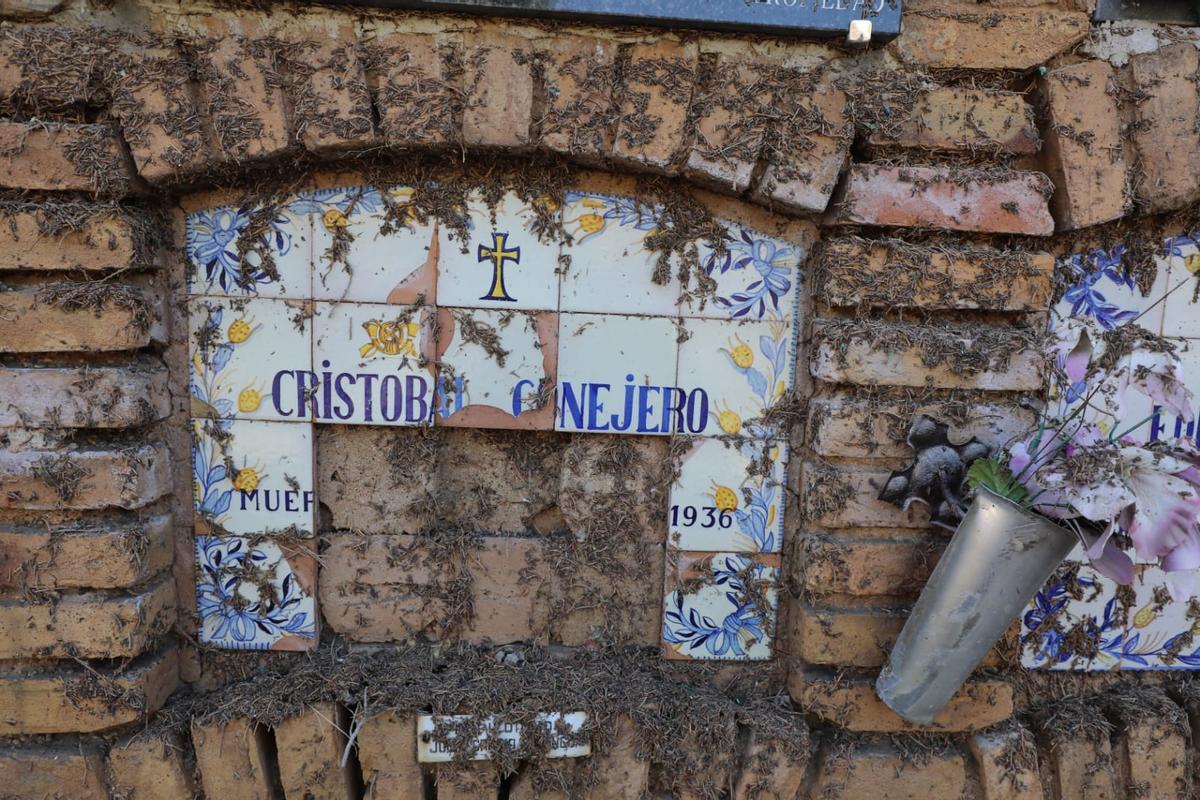 Fotogalería | Grandes daños en el cementerio de Torrero por la tormenta del jueves