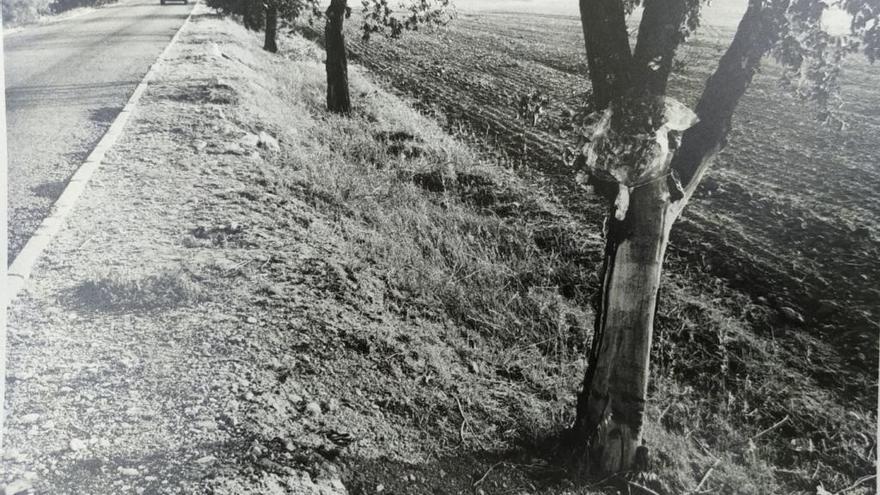 Ramo de flores donde Rommel Fernández perdió la vida en 1993