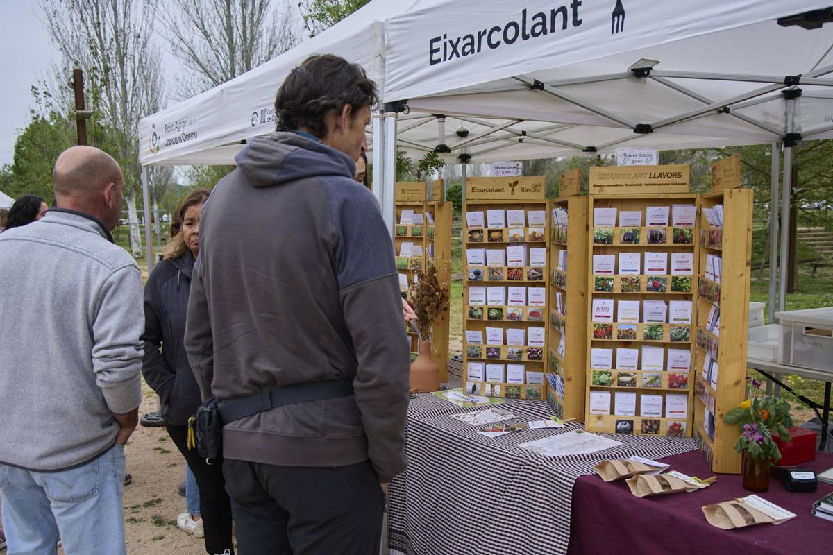 Una gentada s’ha acostat per visitar els 34 expositors presents, per participar en algun dels tallers programats o passejar per l’espai natural de la Fira de la Flor i el Planter. Una gentada s’ha acostat per visitar els 34 expositors presents, per participar en algun dels tallers programats o passejar per l’espai natural de la Fira de la Flor i el Planter.