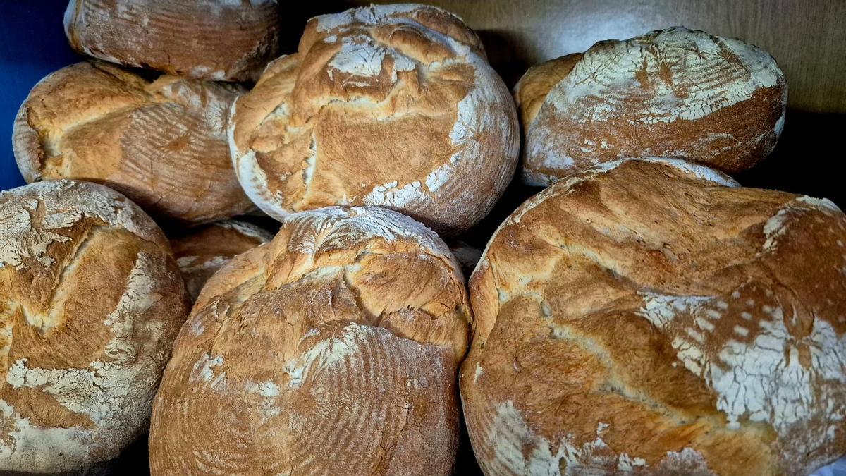 Pan de tahona de Malpartida de Cáceres.